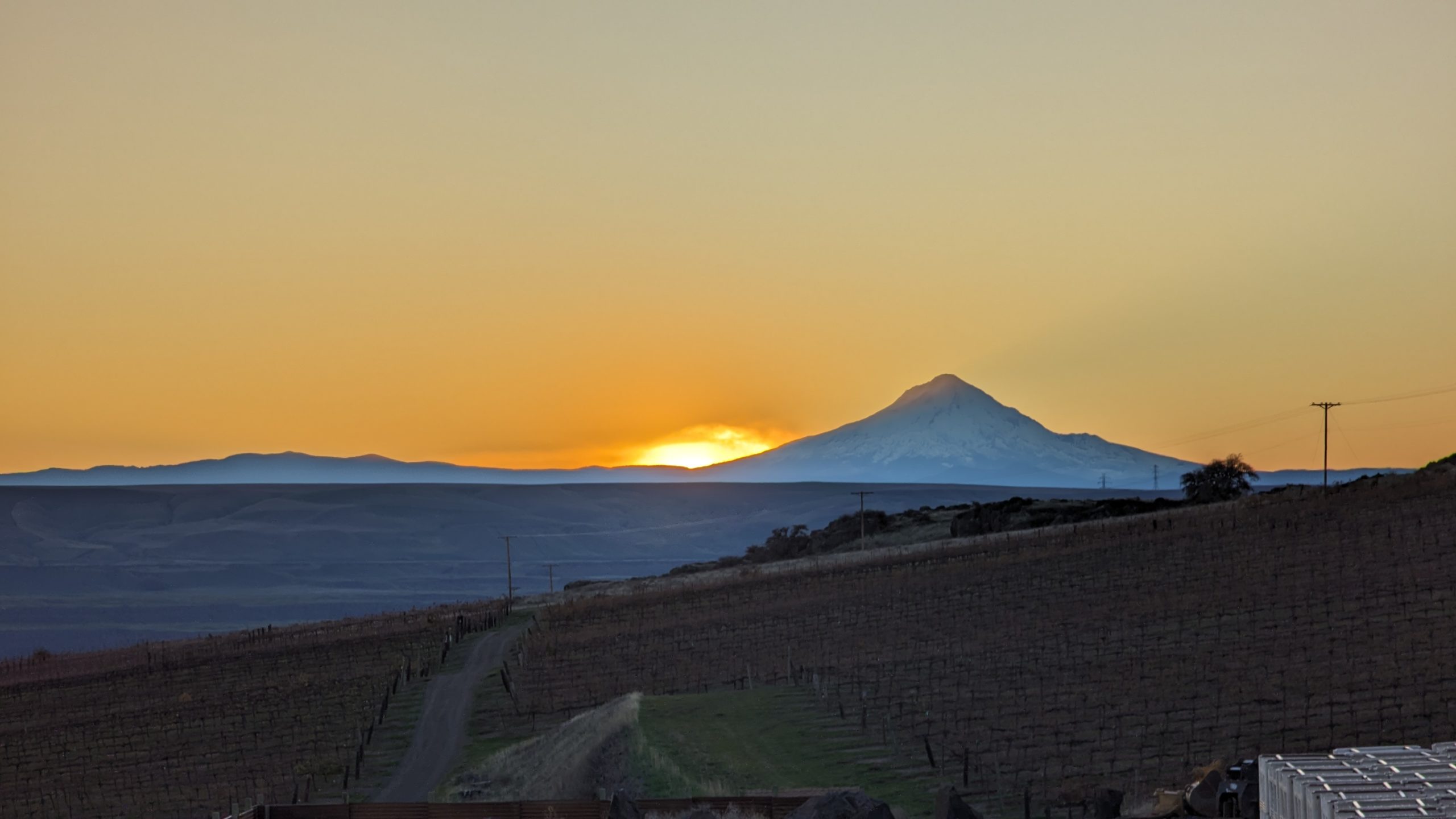 Sunset behind Mt Hood from Mary Hill Vinyards