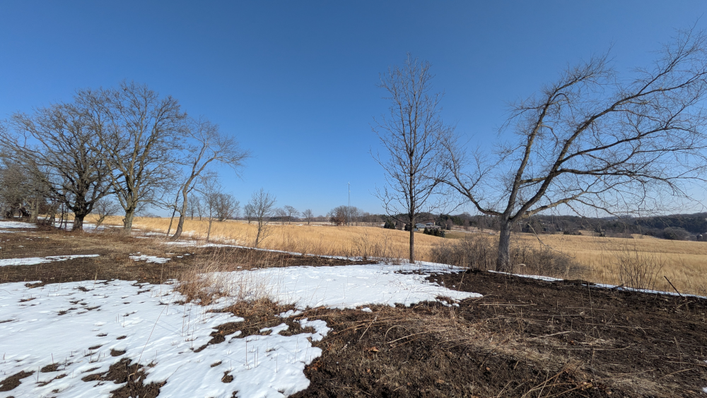 First Walk on the trail for the year